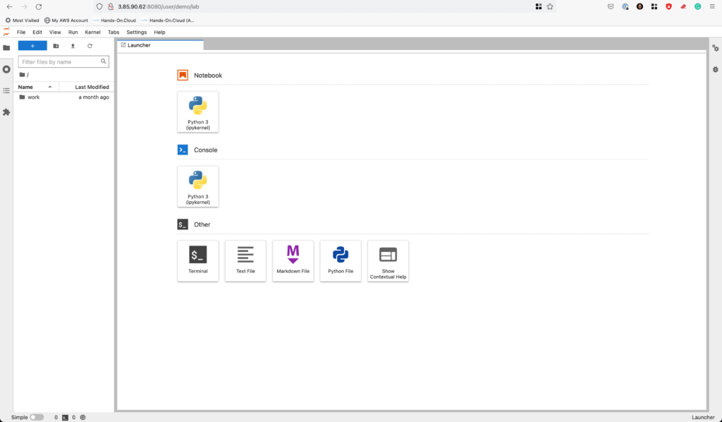 JupyterHub behind Nginx proxy (Docker Swarm) - User lab environment