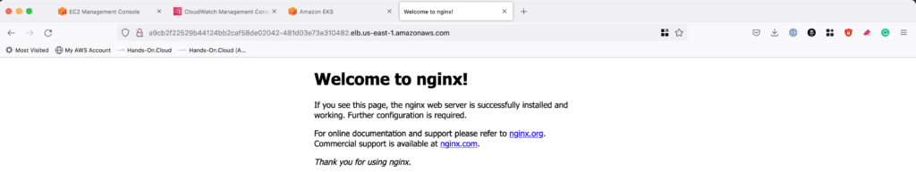 How to Set Up Amazon EKS Cluster Using Terraform - Nginx default page