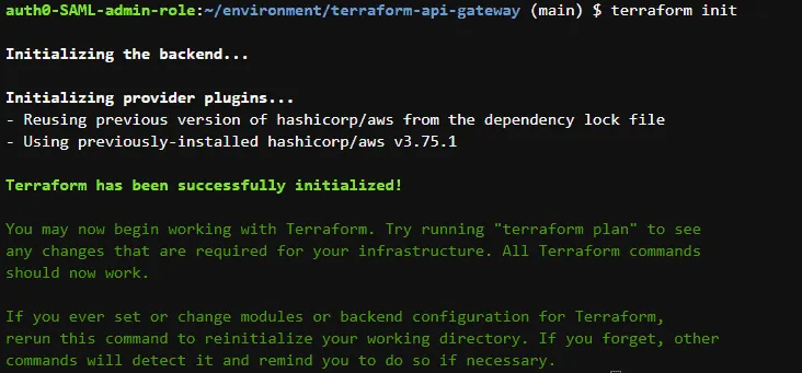 Initializing Terraform API Gateway project