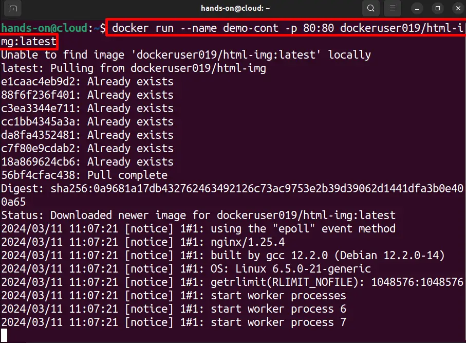 docker run --name demo-cont -p 80:80 dockeruser019/html-img:latest