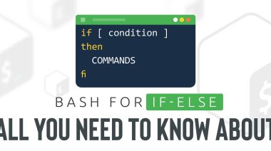 Bash If-Else Statements - All You Need to Know About