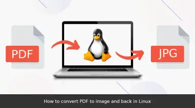 How to convert PDF to image and back in Linux